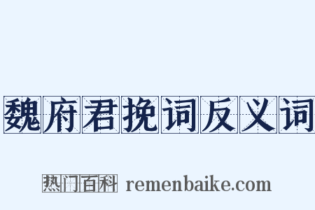 魏府君挽词反义词是什么意思的图片